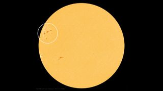 A far-out image of the sun with sunspots circled