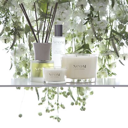 Neom Organic Reed Diffuser Buchu, Nutmeg & Ginger photo