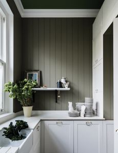 Kitchen painted in Farrow and Ball Treron