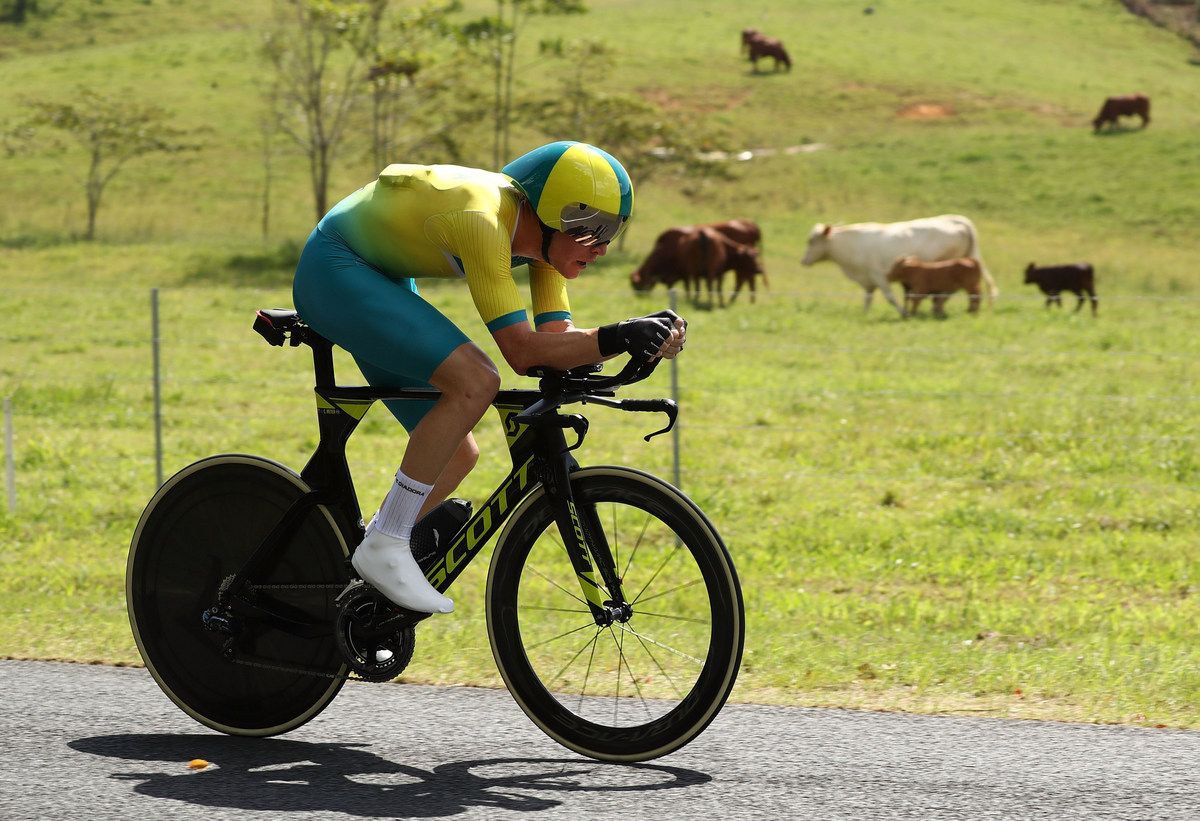 The cows aren't too interested in watching Cameron Meyer (Australia) win gold