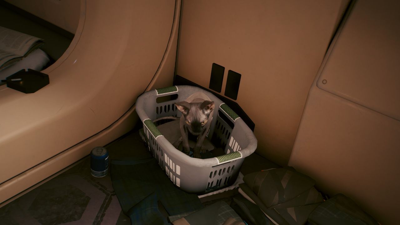 Cyberpunk 2077 Nibbles in a basket