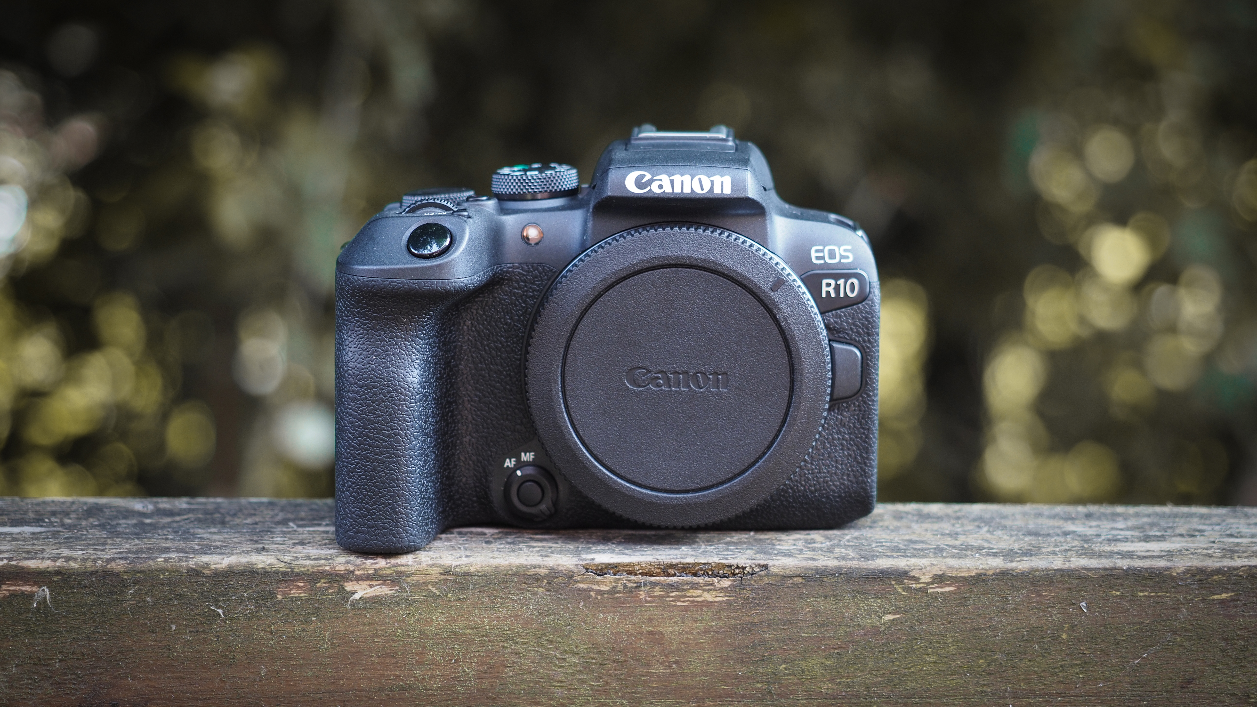 Canon APS-C cameras on a wooden surface