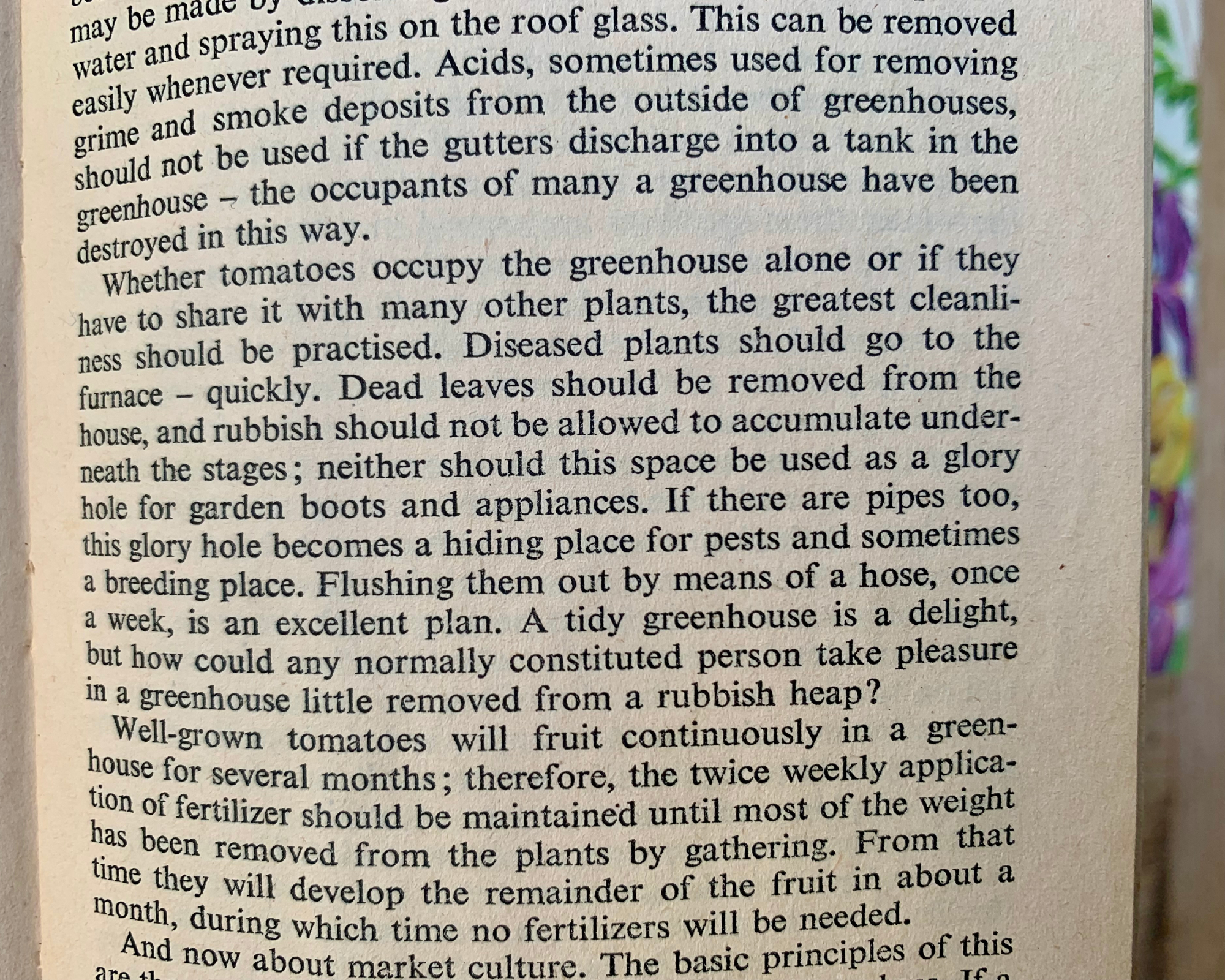 old book showing a gardening tip about greenhouse hygiene