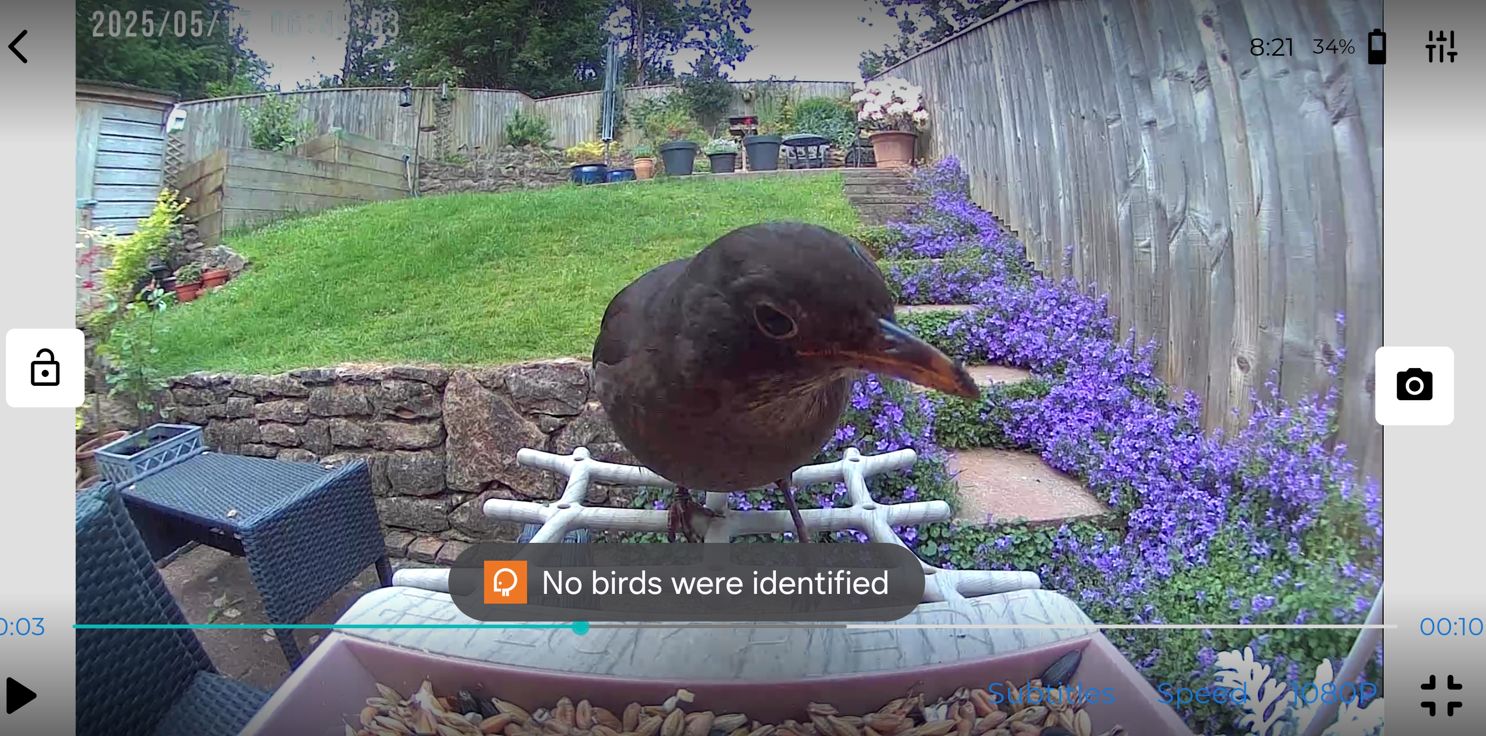 PeckPerk bird camera review