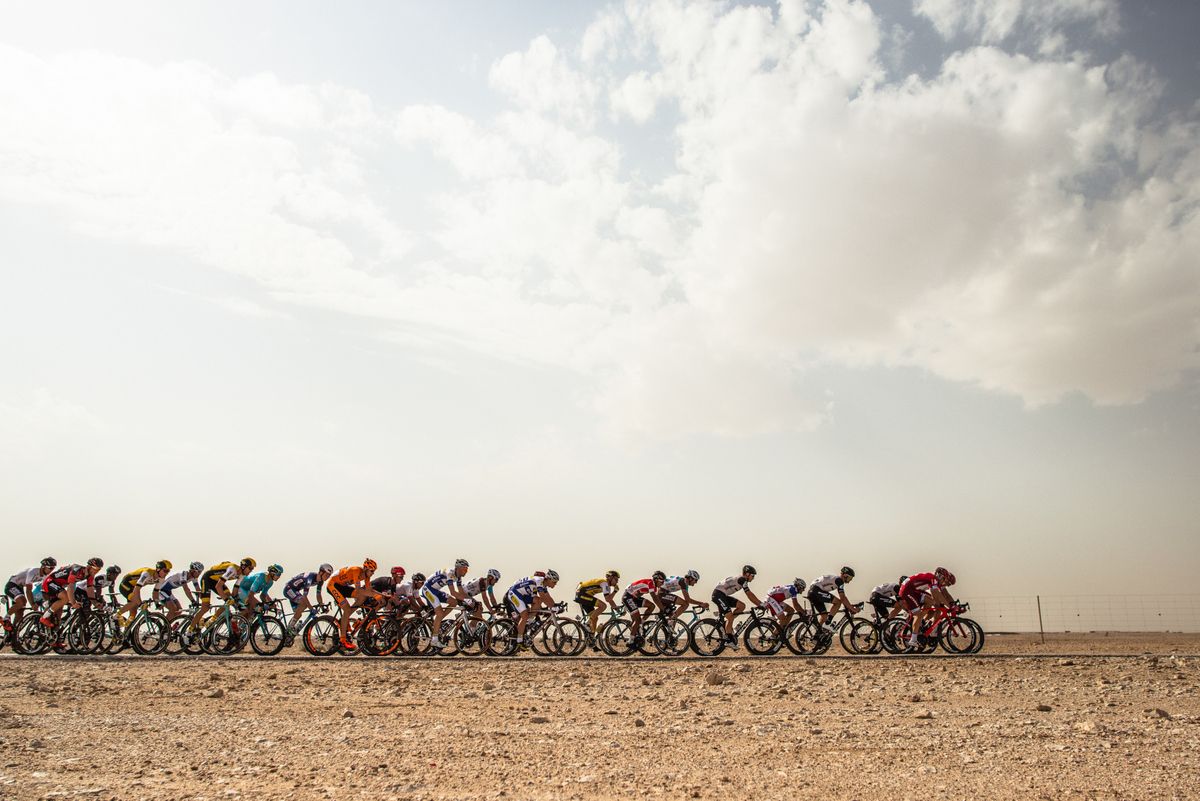 The peloton riding the Qatar countryside