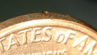 Image of the smallest remote controlled robot on the edge of a penny
