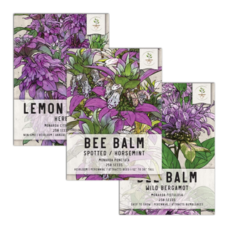 A set of three bee balm seed sachets