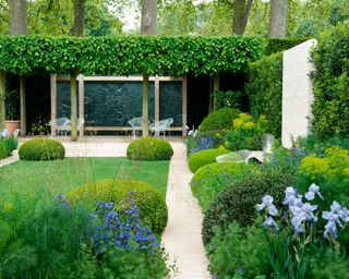 smart garden with boxwood, lawn and parasol trees