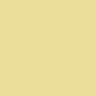 A gentle yellow paint square in the Benjamin Moore shade City Scape Morning