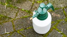 bottle of weed and moss killer on garden floor