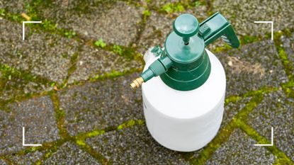 bottle of weed and moss killer on garden floor