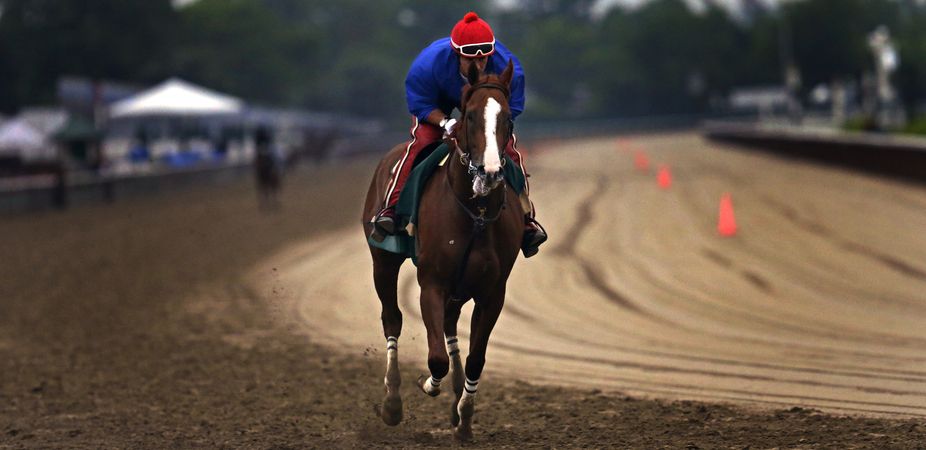 California Chrome, Triple Crown, thoroughbred horse racing, Belmont Stakes