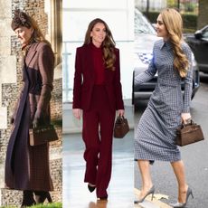 Princess Kate DeMellier Small Hudson Bag