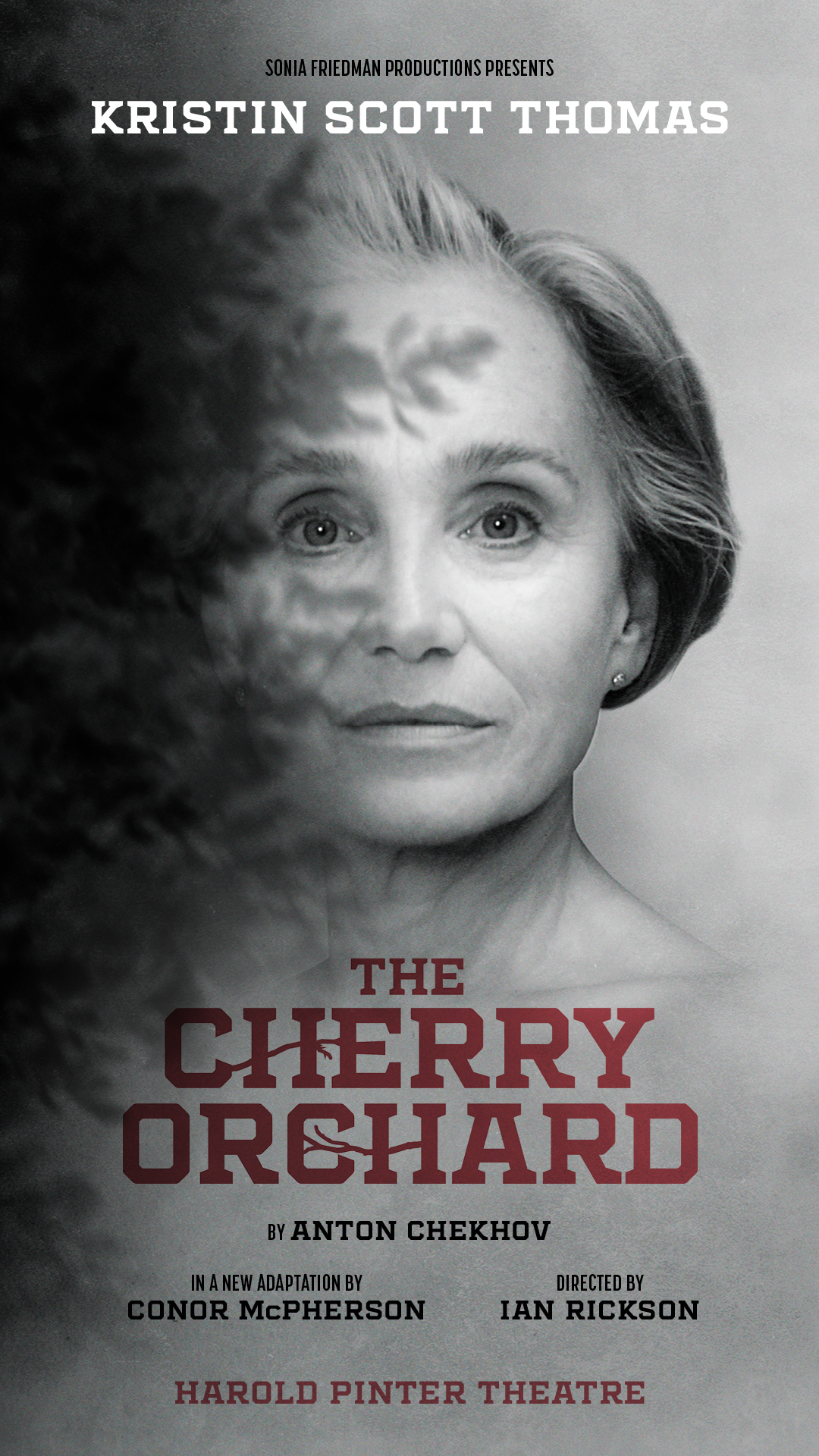 The Cherry Orchard
