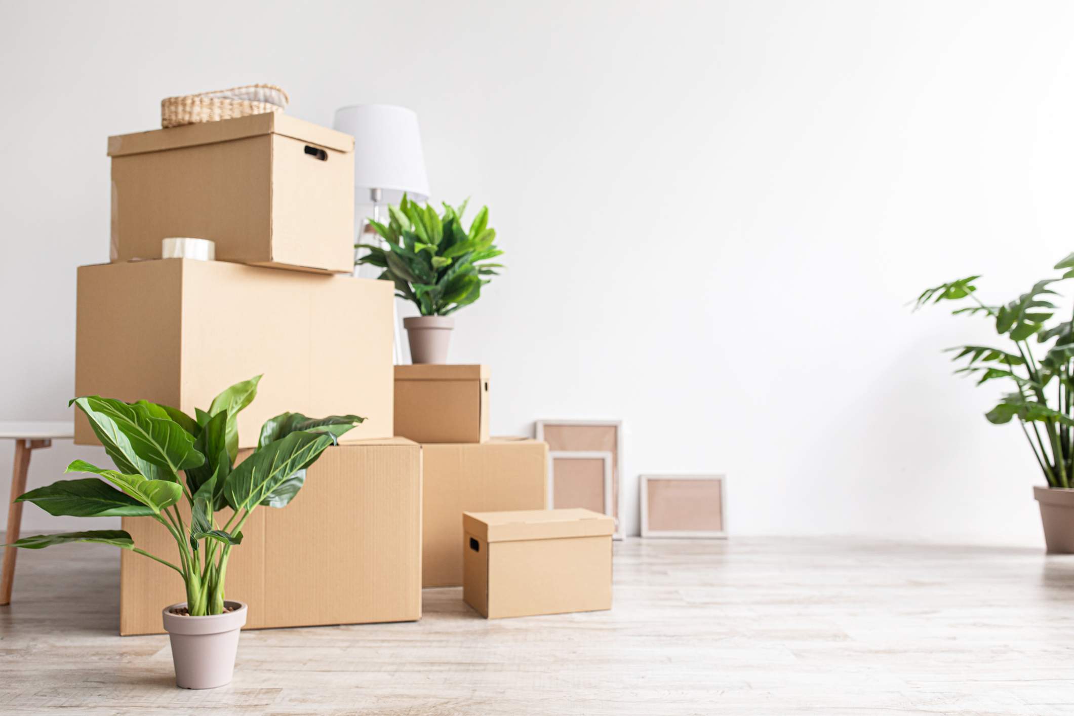 moving boxes stacked in a white room with plants, picture frames, and furniture