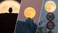 three panel image showing three stunning views of the september full moon also known as the harvest moon. One the left is a close up view of an owl silhouetted against the bright moon, the middle is the moon rising over a castle on a hill and on the right a moon appears at the top of a road sign.