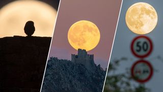 three panel image showing three stunning views of the september full moon also known as the harvest moon. One the left is a close up view of an owl silhouetted against the bright moon, the middle is the moon rising over a castle on a hill and on the right a moon appears at the top of a road sign.