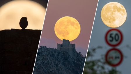 three panel image showing three stunning views of the september full moon also known as the harvest moon. One the left is a close up view of an owl silhouetted against the bright moon, the middle is the moon rising over a castle on a hill and on the right a moon appears at the top of a road sign.