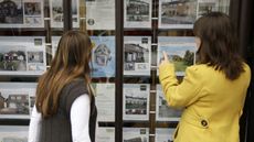 Estate agents' window