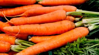 A close up of a bunch of organic carrots