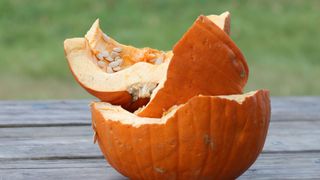 picture of broken rotting pumpkin