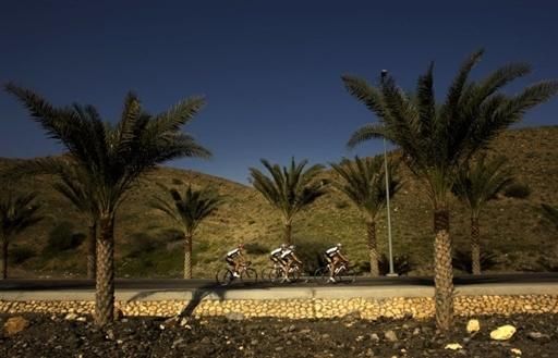 The landscape is more lush than that of Qatar