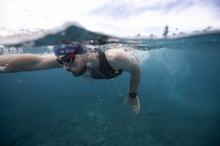 A close up of a focused Billy swimming.