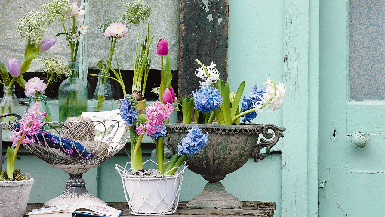 spring garden ideas: potted plants