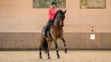 Laura Tomlinson riding towards the camera in extended canter