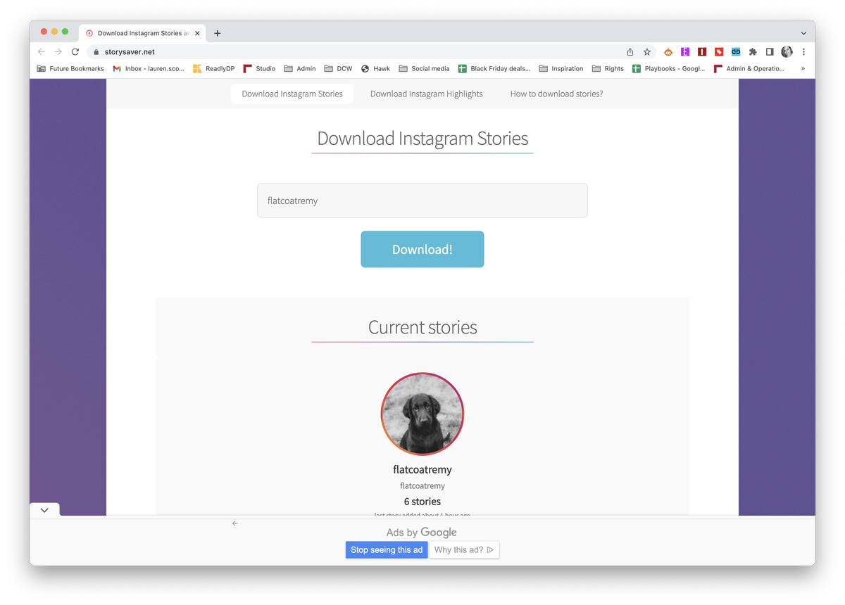 Download Instagram stories: an easy guide | Digital Camera World
