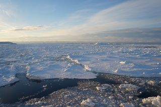 Dense sea ice has forced the British-led scientific expedition to turn back from their journey to the Larsen C ice shelf on the Antarctic Peninsula.
