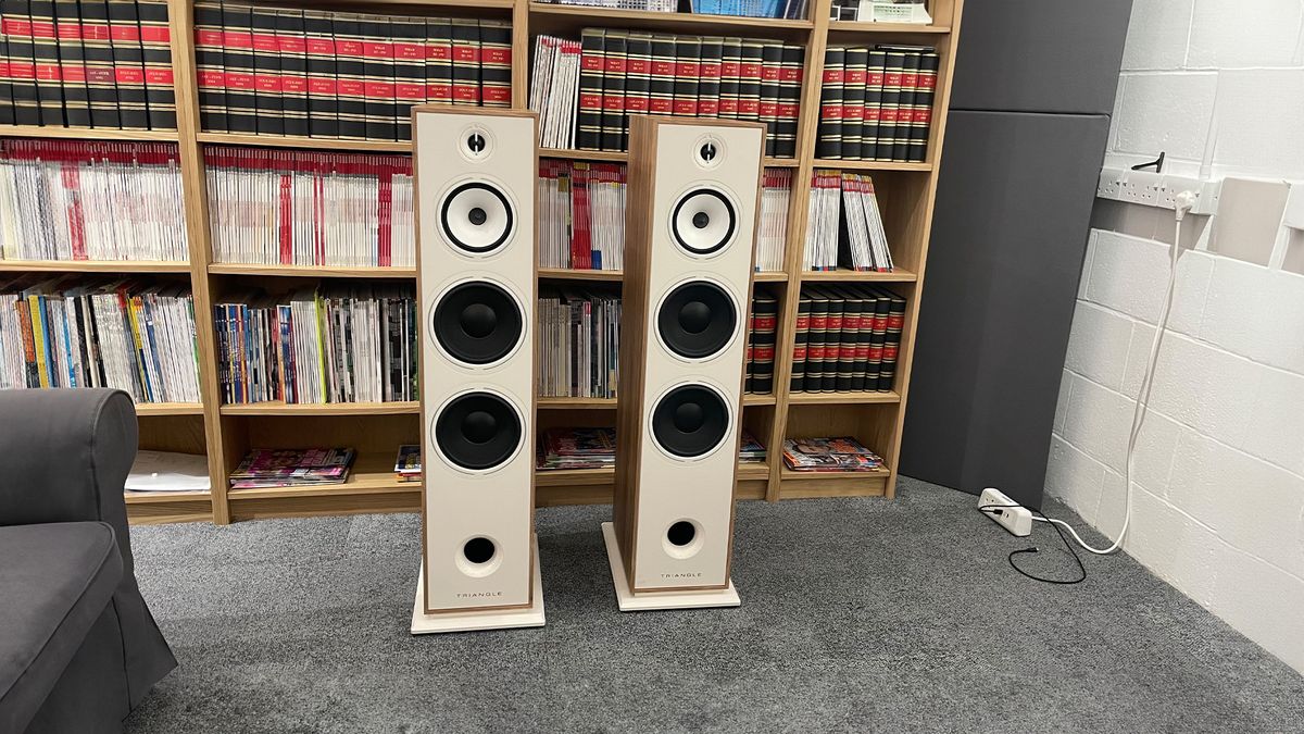 Triangle Borea BR10 floorstanding speakers pictured from front on grey carpet in front of bookcase