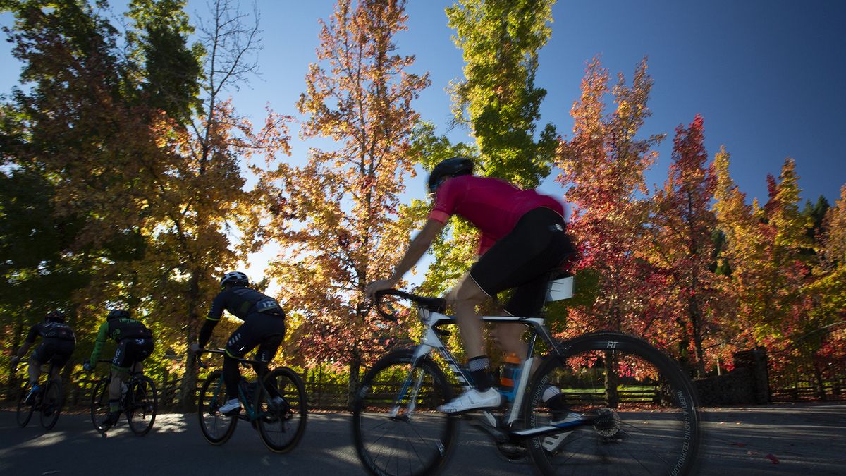 Autumn leaves and a blue sky for the Sagan Fondo in Northern California