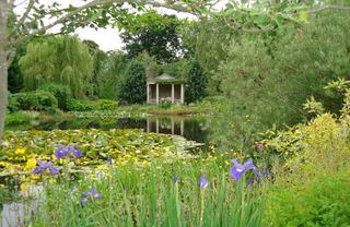 formal pond with waterlillies and irises