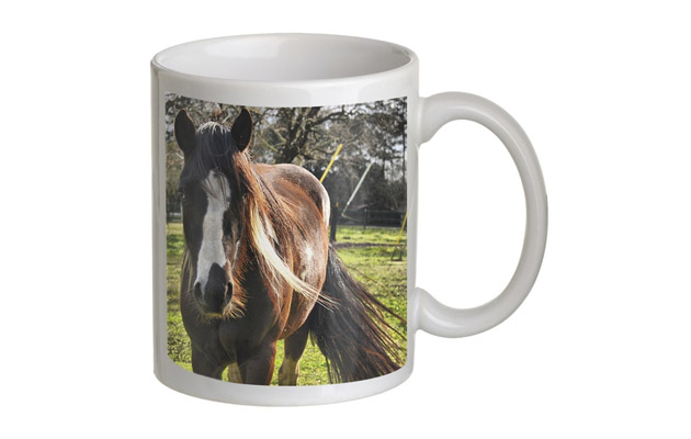 horsemug