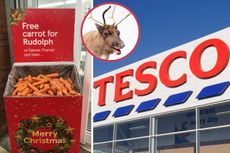 A collage of images of free carrots for Rudolph stand in Tesco, Tesco sign and an image of a reindeer