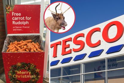 A collage of images of free carrots for Rudolph stand in Tesco, Tesco sign and an image of a reindeer