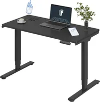 FlexiSpot E6