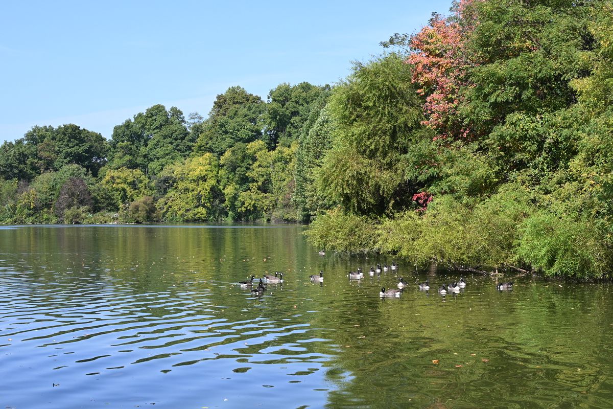 A lake scene shot on the Nikon Z6III