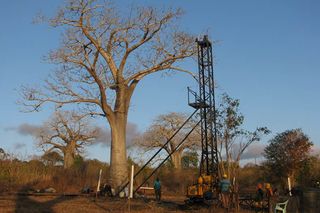 A typical drilling site. The rig is set up next to a baobab tree. It was the dry season, so the tree had no leaves. Rain and core cutting don't mix.