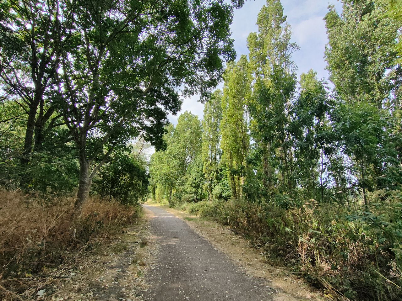 Realme GT Neo 3T camera samples