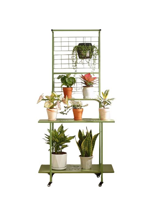 Plant Display Stand With Hanging Shelves