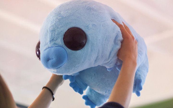 water bear plush mini