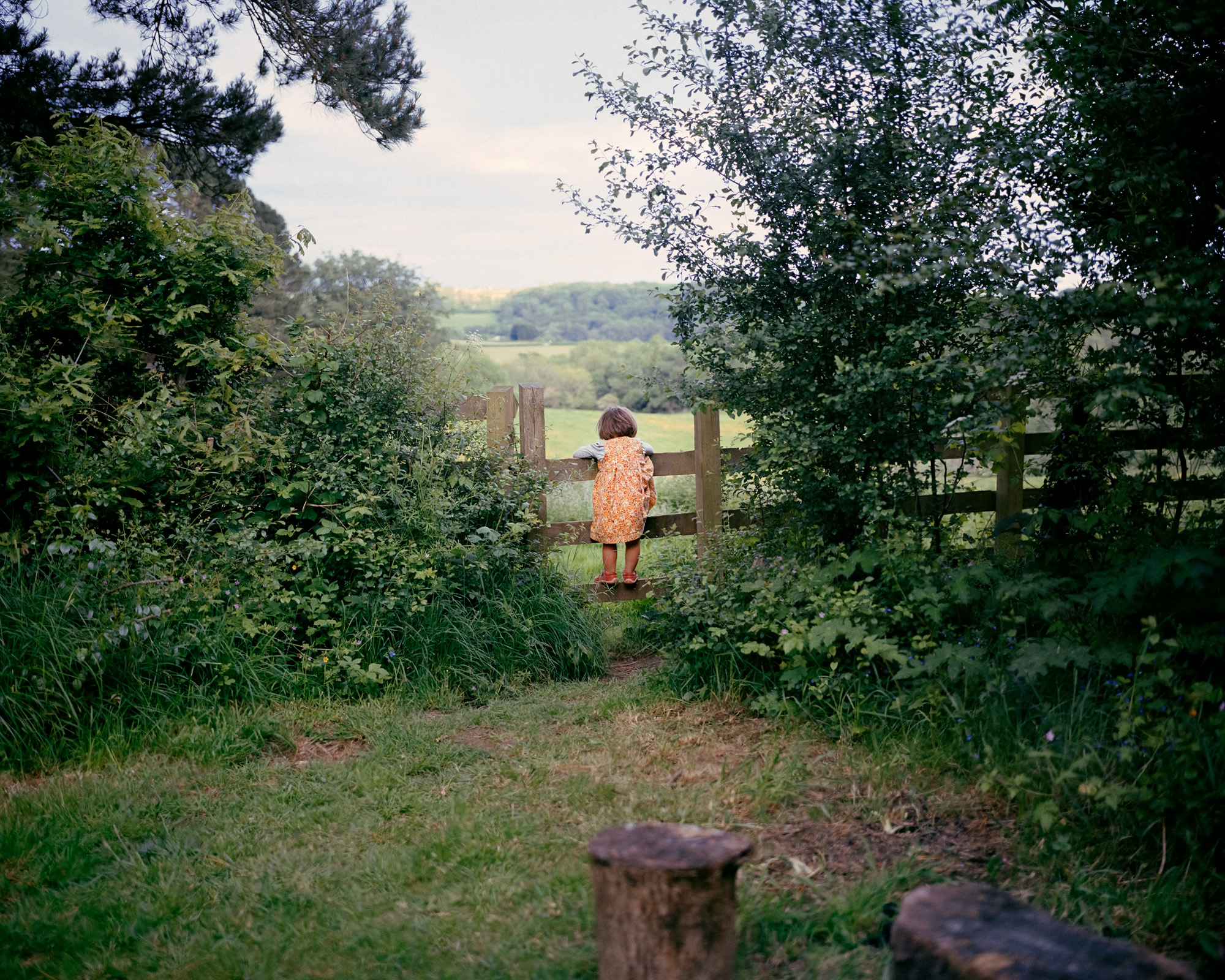 Siân Davey: The Creative Body: Photographs 2014 – 2024 .