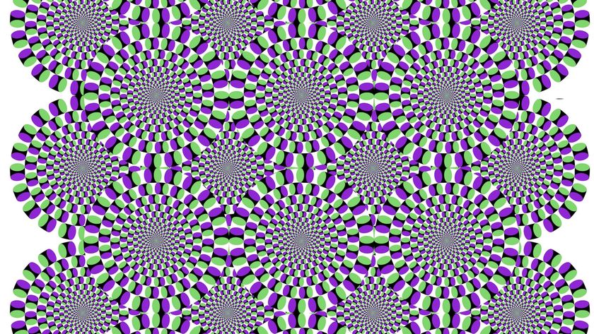 An optical illusion that appears to be moving