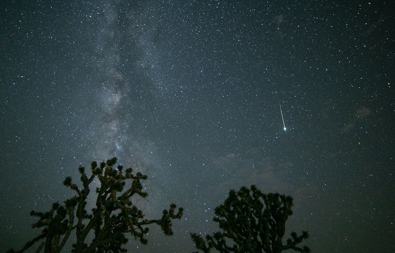 Perseids