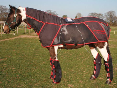 combi-pro-rug-copy.jpg