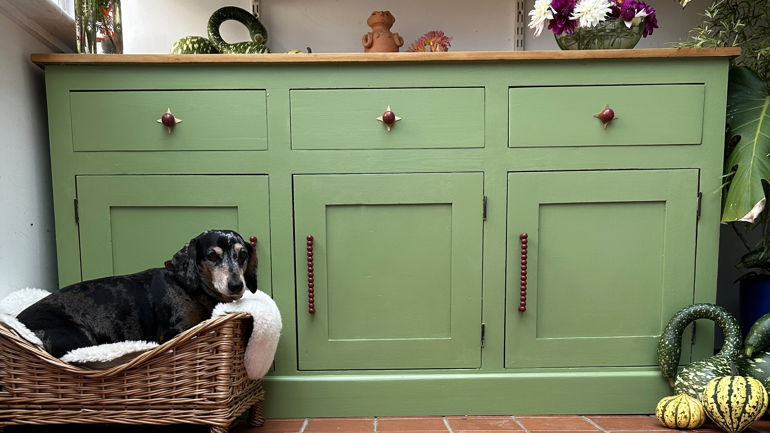 green cabinet with three drawers and a dog in a basket in front of it