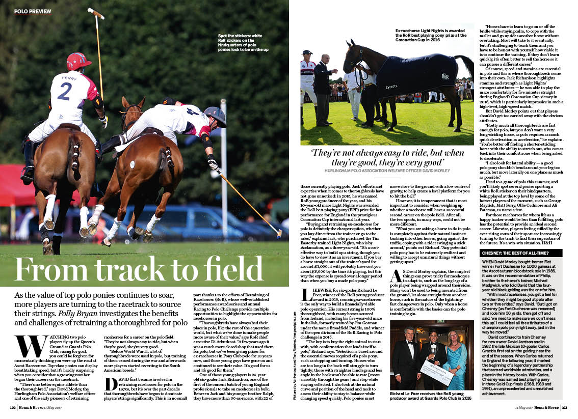 POLO-Preview-feature-2pp.jpg