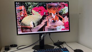 ViewSonic VX2738-2K OLED 